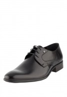 ������� ����� �������