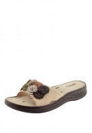 ���� ����� ����