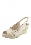 ������� ����� ��������