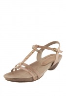 ����� �������� �������