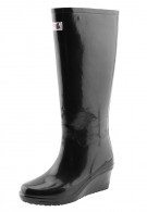 ������ ���� �������