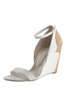 Mizuno wave ���������