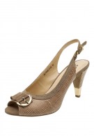 ����� ����� �������