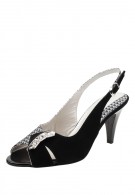 ����� �����������